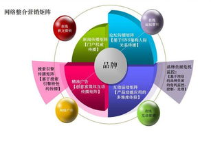 網絡營銷方案指南 互聯網信息服務的道與術